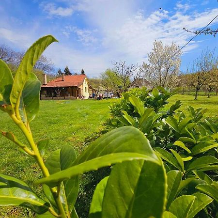 Вилла Fruska House Besenovacki Prnjavor Экстерьер фото