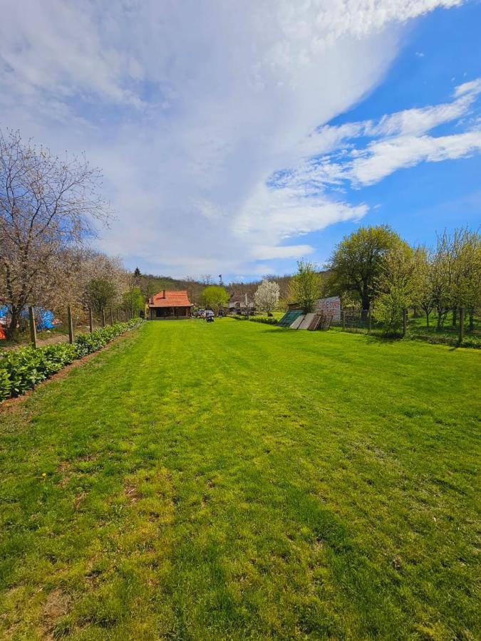Вилла Fruska House Besenovacki Prnjavor Экстерьер фото