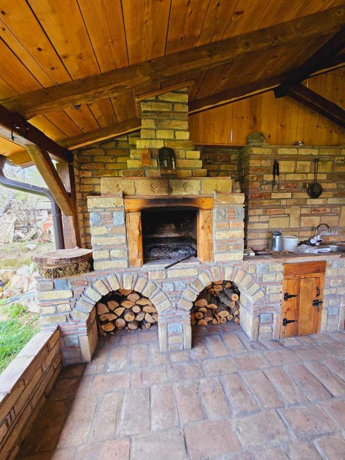 Вилла Fruska House Besenovacki Prnjavor Экстерьер фото