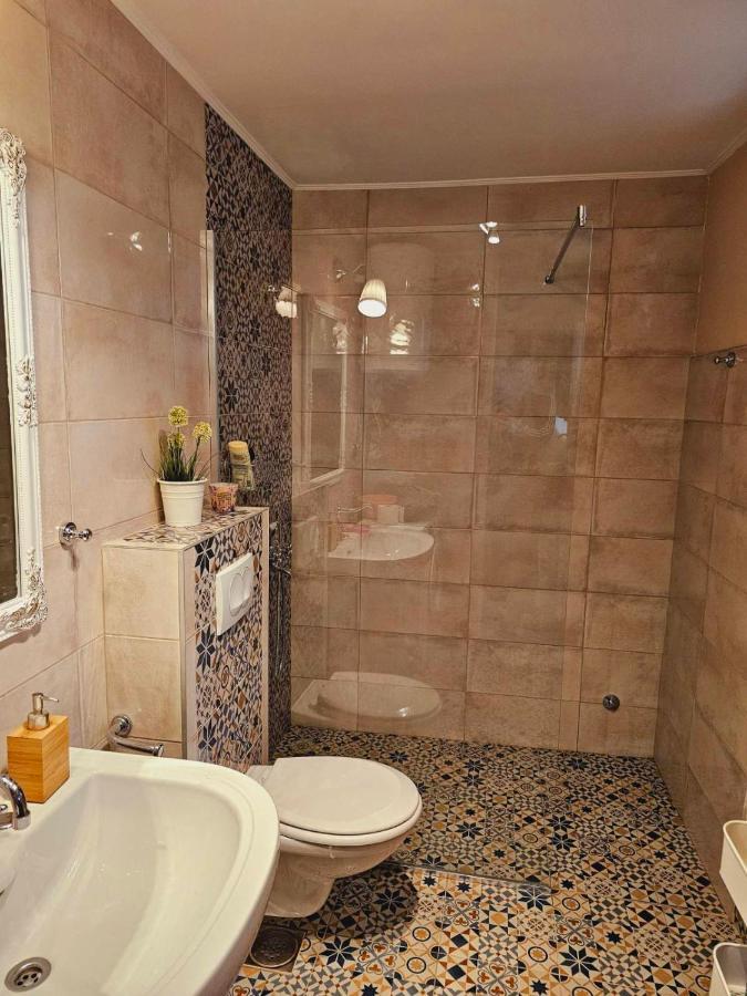 Вилла Fruska House Besenovacki Prnjavor Экстерьер фото